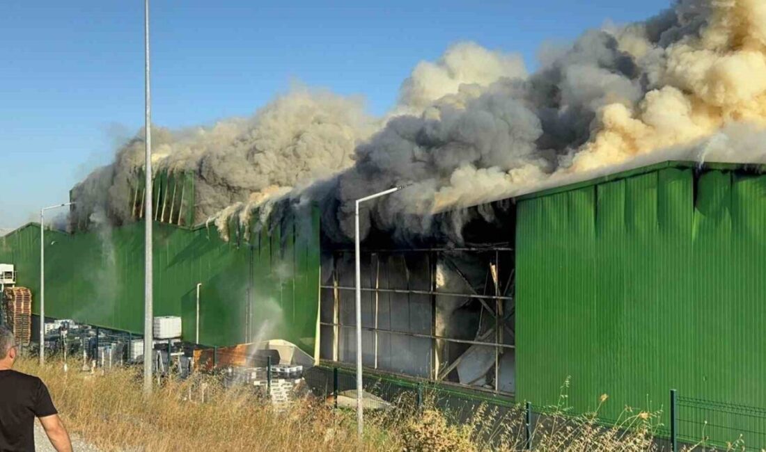 Balıkesir’in Gönen ilçesinde bulunan Teksüt fabrikasında geçtiğimiz gün çıkan yangınla