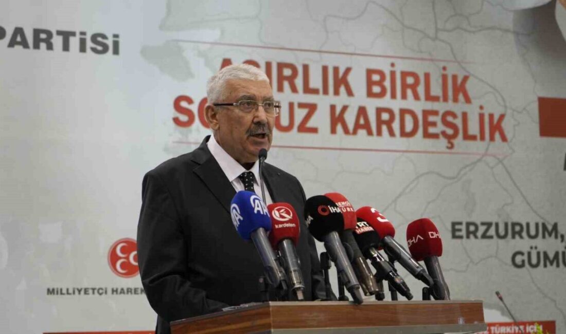 Milliyetçi Hareket Partisi Genel Başkan Yardımcısı Prof. Dr. Semih Yalçın,
