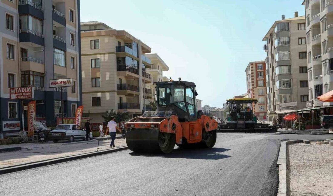 Van Büyükşehir Belediyesi, Terzioğlu Caddesi’nde başlattığı yenileme çalışmaları kapsamında asfalt