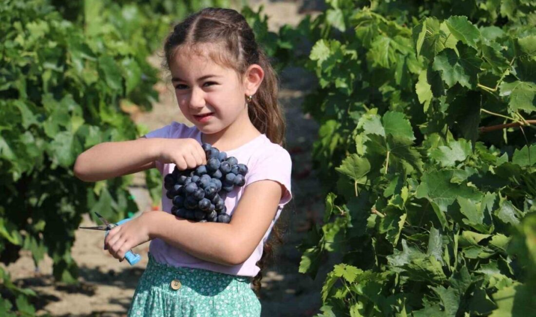 Erzincan ekonomisine katlı sağlayan ve sağlık açısından şifa kaynağı olan