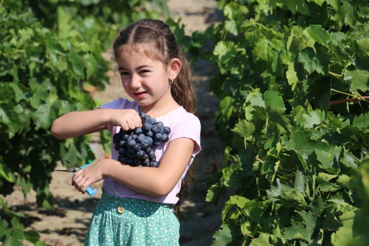 Erzincan ekonomisine katlı sağlayan ve sağlık açısından şifa kaynağı olan