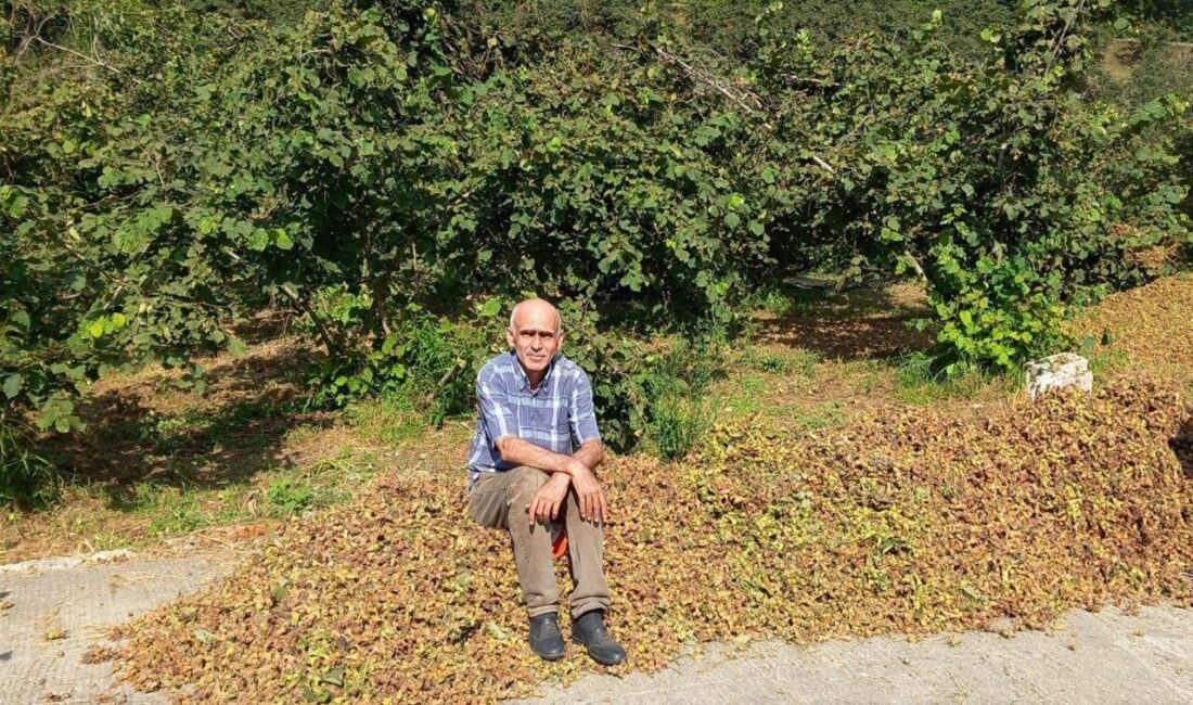Giresun Ziraat Odası Başkanı Nurittin Karan, Toprak Mahsulleri Ofisi (TMO)