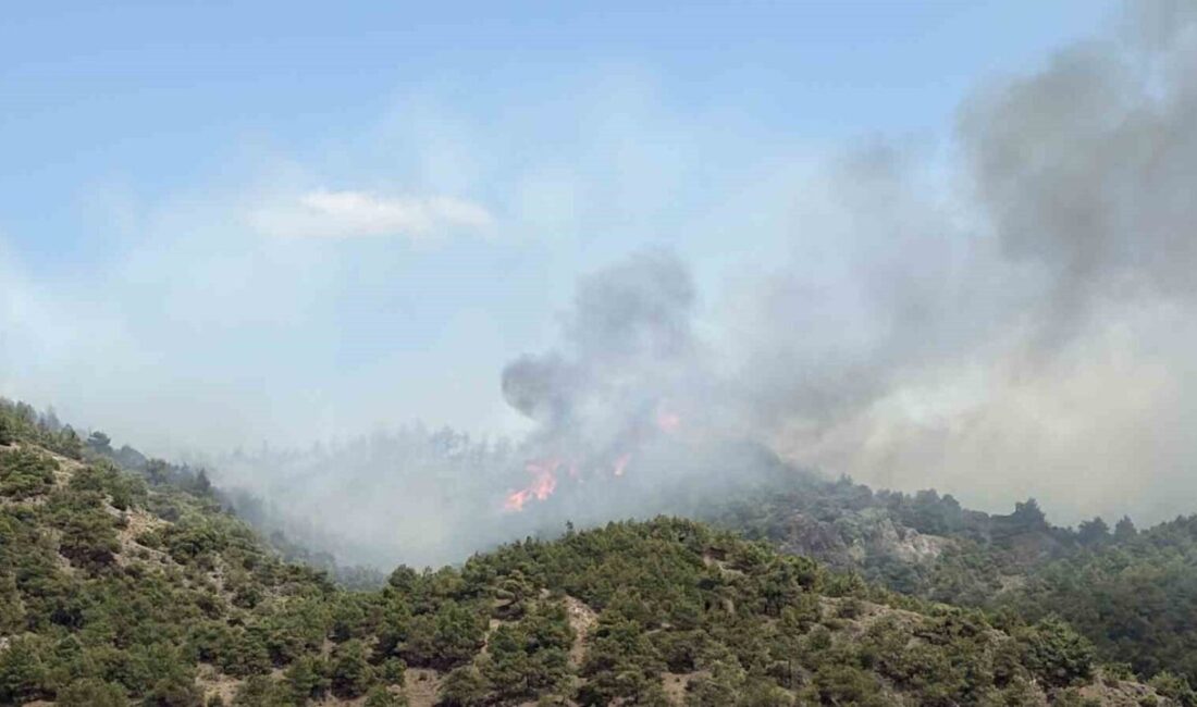 Tokat’ın Erbaa ilçesi Doğanyurt köyü yakınlarında çıkan orman yangını kontrol