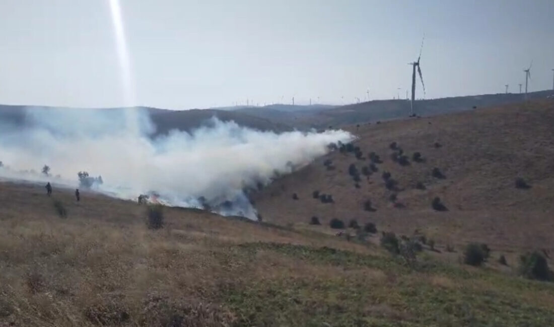 Tokat’ın Çayören köyü yakınlarında çıkan örtü yangını ekipler ve vatandaşların