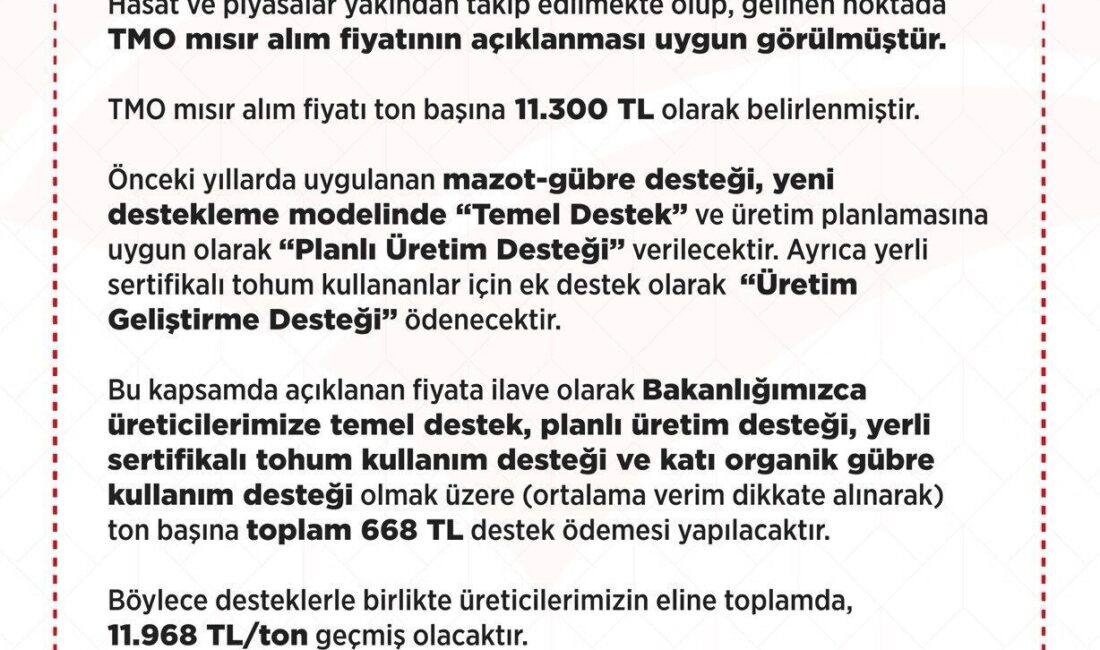 Toprak Mahsulleri Ofisi 2025 yılı için mısır alım fiyatları belli