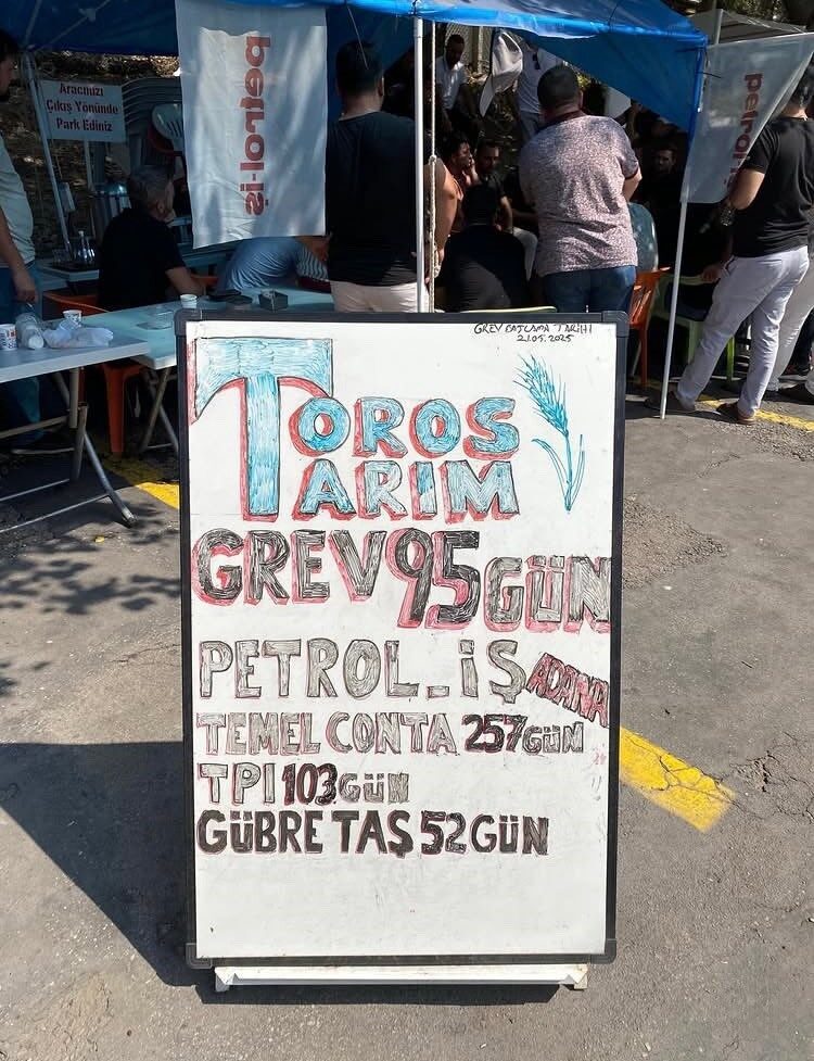 Mersin’in Akdeniz ve Adana’nın Ceyhan ilçelerinde Tekfen Holding’e bağlı faaliyet