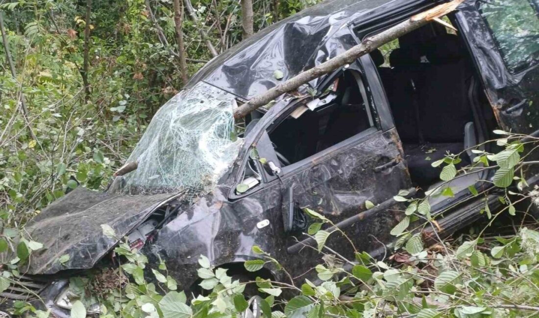 Trabzon’un Vakfıkebir ilçesinde meydana gelen trafik kazasında 1 kişi öldü,
