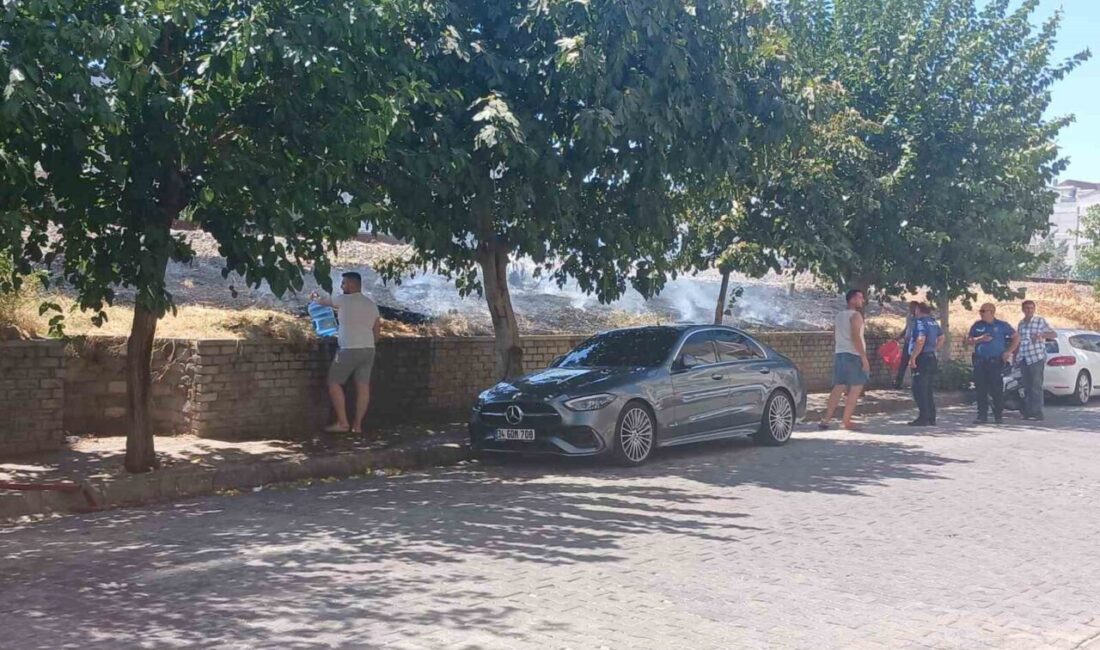 Aydın’ın Efeler ilçesinde tren yolu kenarında çıkan yangın, yol kenarında