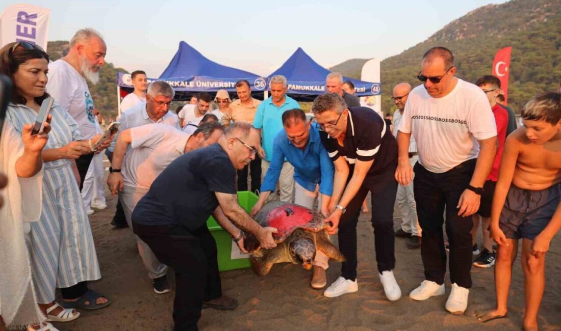 2009 yılında kurulan Türkiye’nin tek Deniz Kaplumbağaları Araştırma, Kurtarma ve