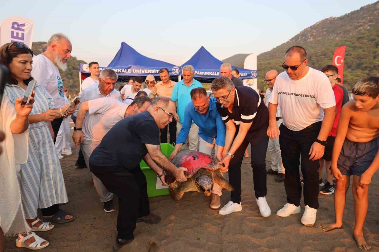 2009 yılında kurulan Türkiye’nin tek Deniz Kaplumbağaları Araştırma, Kurtarma ve