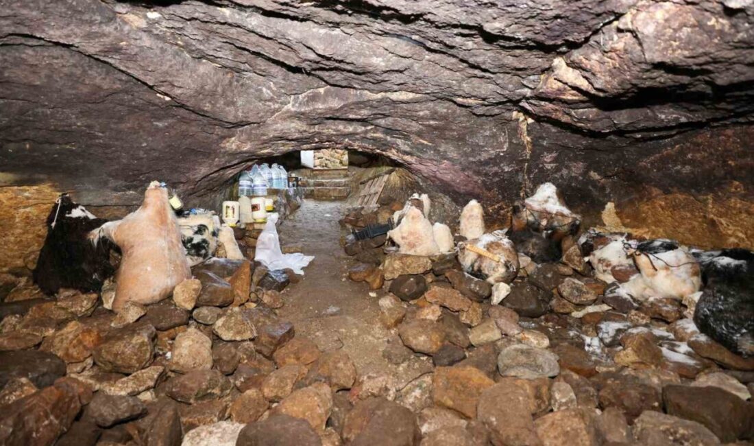 Konya’nın merkez Meram ilçesine bağlı Kızılören Mahallesi’nde mağaraya peynir koyma