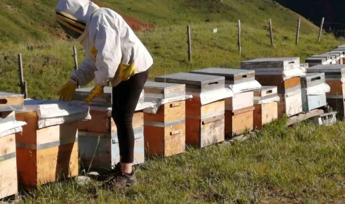 Tunceli Arı Yetiştiricileri Birliği, 2025 yılı bal alım fiyatlarını açıkladı.