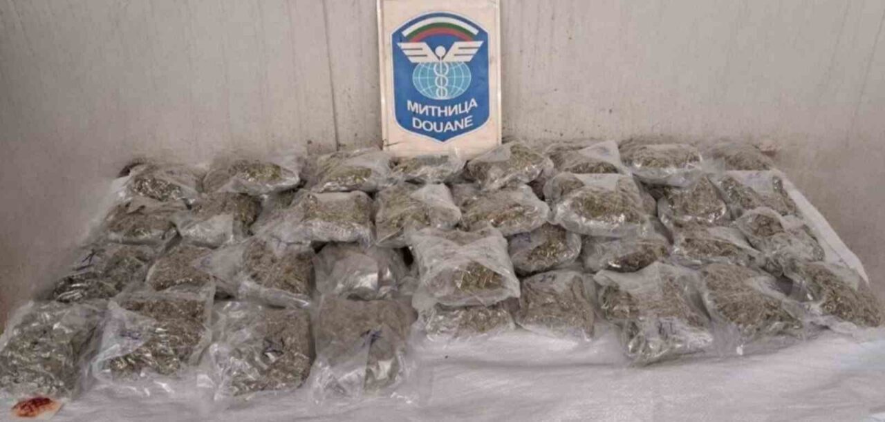 Edirne Kapıkule Sınır Kapısı’ndan yurda sokulmak istenen 5 kilo 900