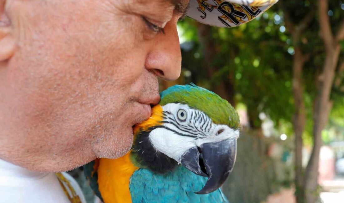 Geçtiğimiz günlerde ikinci kez kaybolan 8. Cumhurbaşkanı Turgut Özal’ın papağanı