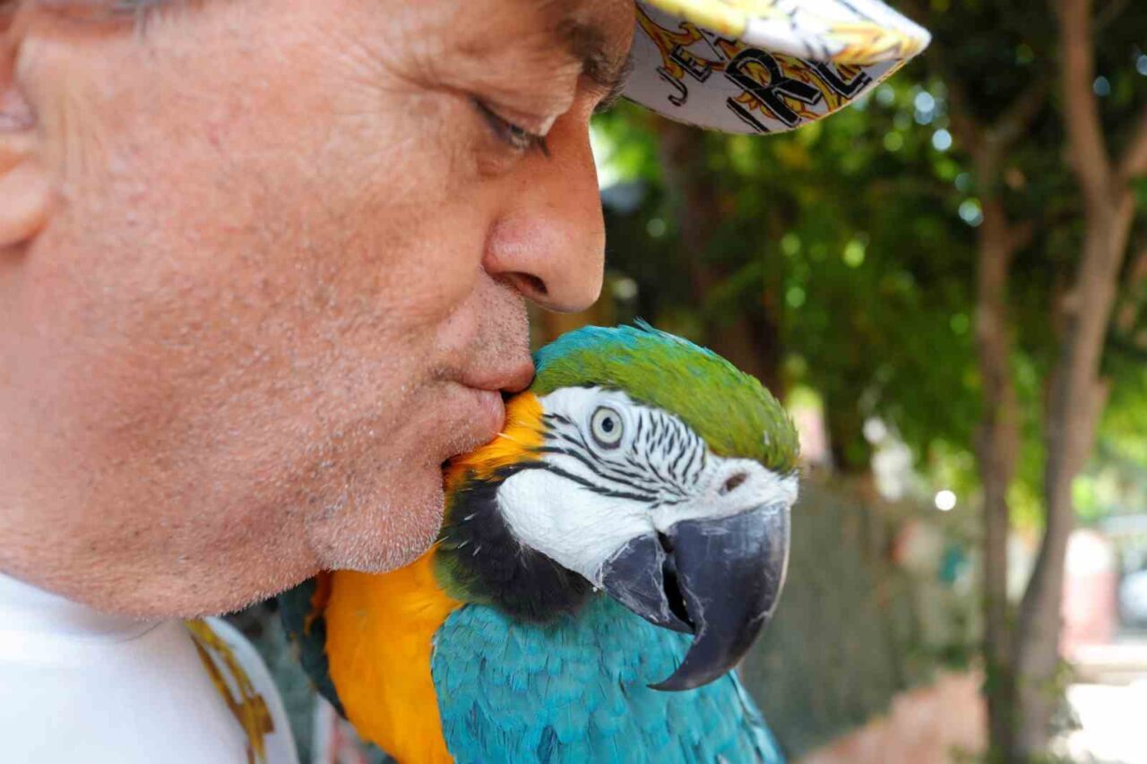 Geçtiğimiz günlerde ikinci kez kaybolan 8. Cumhurbaşkanı Turgut Özal’ın papağanı