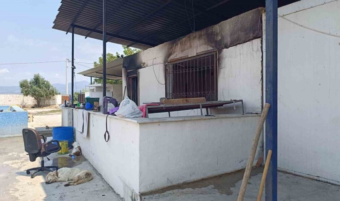 MANİSA (İHA) – Manisa’nın Turgutlu ilçesinde çiftlik evinde çıkan yangında