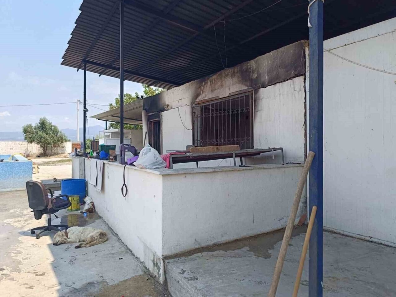 MANİSA (İHA) – Manisa’nın Turgutlu ilçesinde çiftlik evinde çıkan yangında