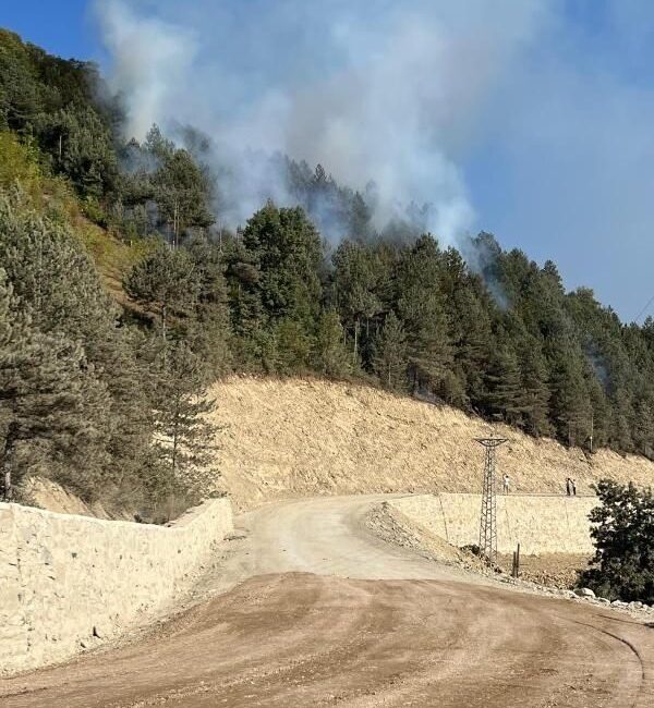 Sinop’un Türkeli ilçesinde ormanlık alanda örtü yangını şeklinde yangın çıktı.