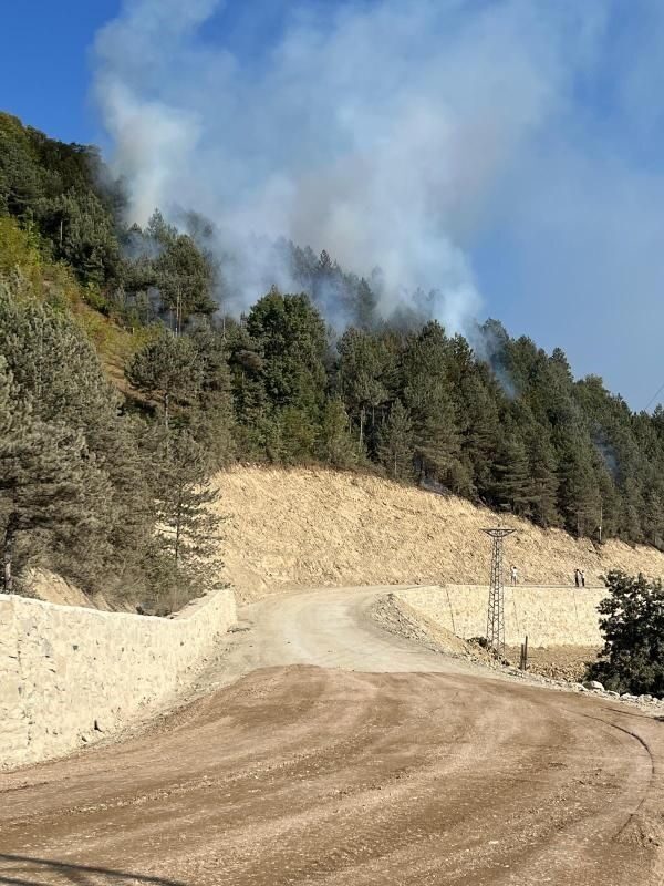 Sinop’un Türkeli ilçesinde ormanlık alanda örtü yangını şeklinde yangın çıktı.