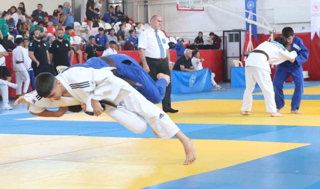 Aydın’ın Koçarlı ilçesi ev sahipliğinde gerçekleştirilen Türkiye şampiyonası sona ererken,