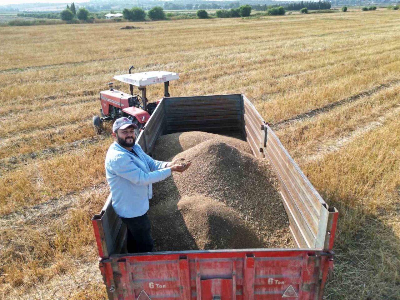 Hatay’ın bereketli topraklarından olan Arsuz ilçesinde ata tohumuyla üretilen maydanoz