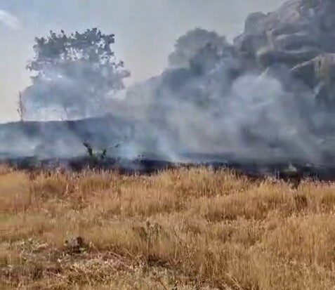 Adıyaman’ın Tut ilçesinde 50 dönümlük alan yanarak zarar gördü. Edinilen