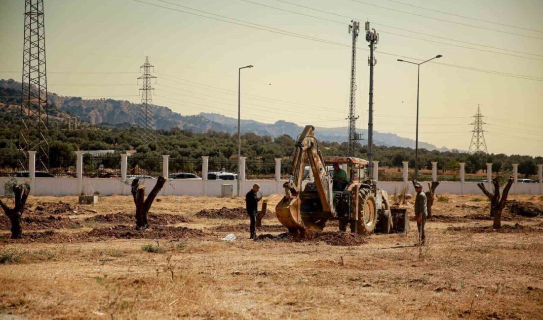 Aydın Adnan Menderes Üniversitesi (ADÜ) kampüsü içerisinde bulunan ve Nysa