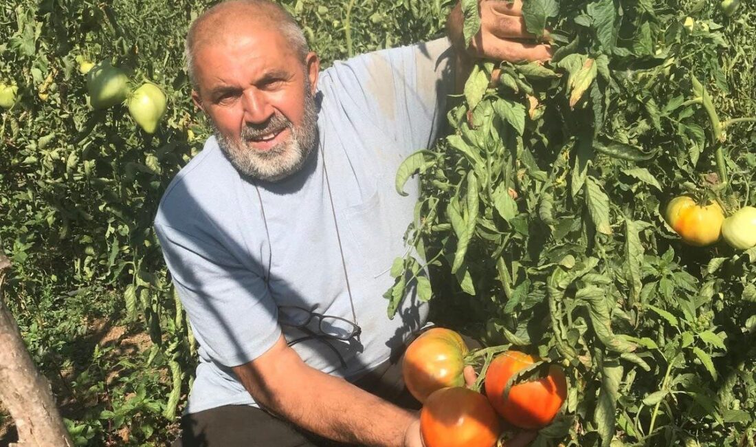 Samsun’un Vezirköprü ilçesinde yaşayan 67 yaşındaki Ahmet Emeç, ata tohumu