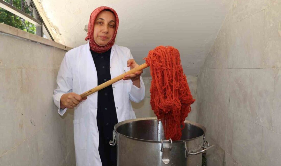 Sivas Olgunlaşma Enstitüsü’nde tamamen geleneksel yöntemlerle gerçekleştirilen doğal boyama çalışmaları,