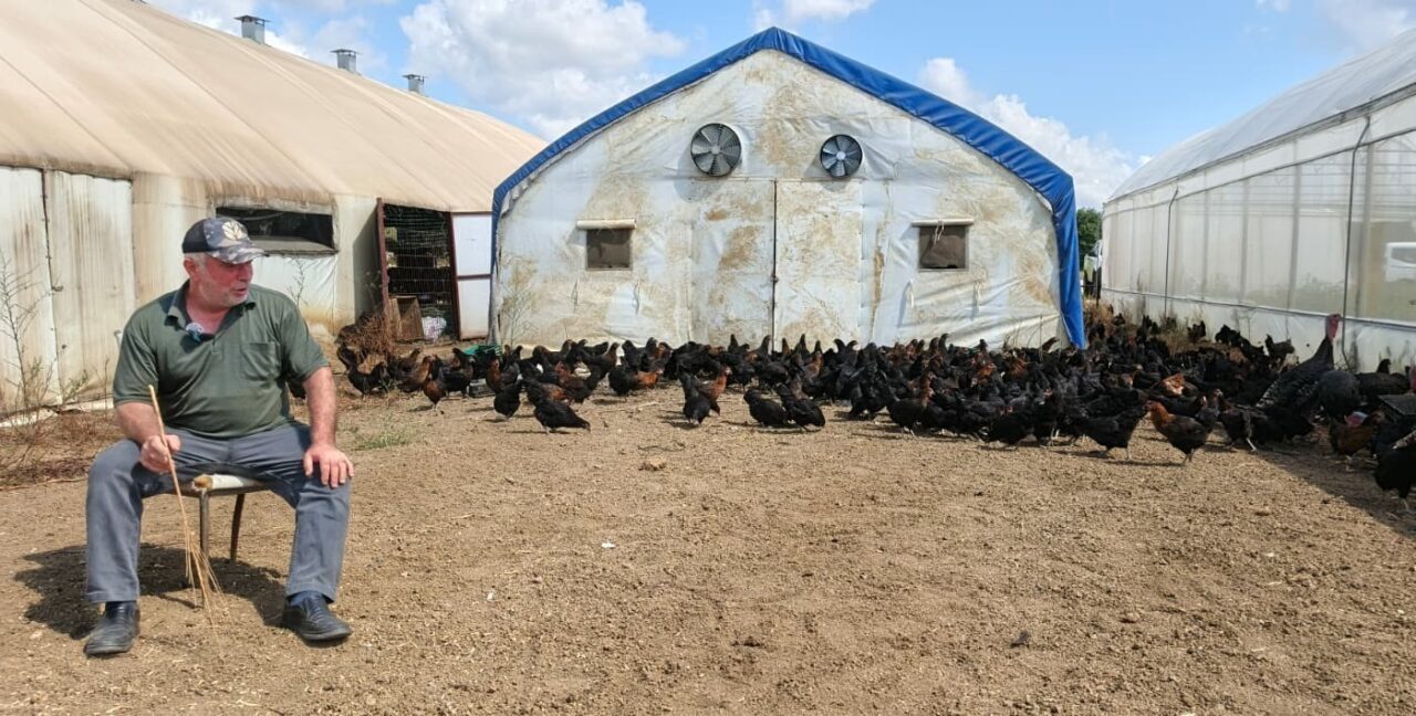 Kocaeli’de kırsal kalkınmayı desteklemek amacıyla hayata geçirilen “Doğal Salma Yumurta