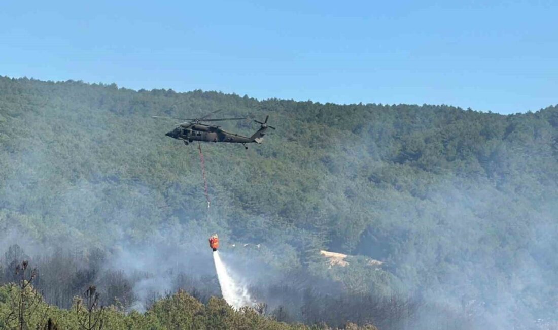 Uşak’ta ormanlık alanda çıkan yangına havadan ve karadan müdahale ediliyor.
