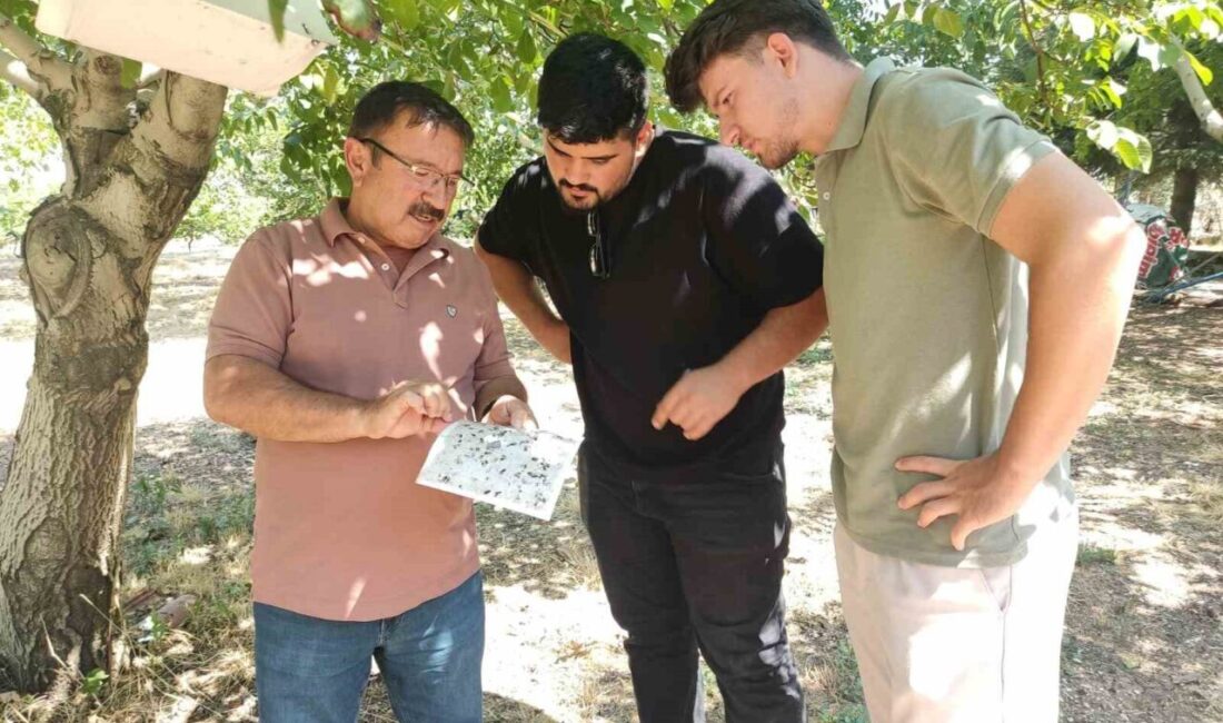 Uşak İl Tarım ve Orman Müdürlüğü ekipleri, Demirören köyünde tarımsal