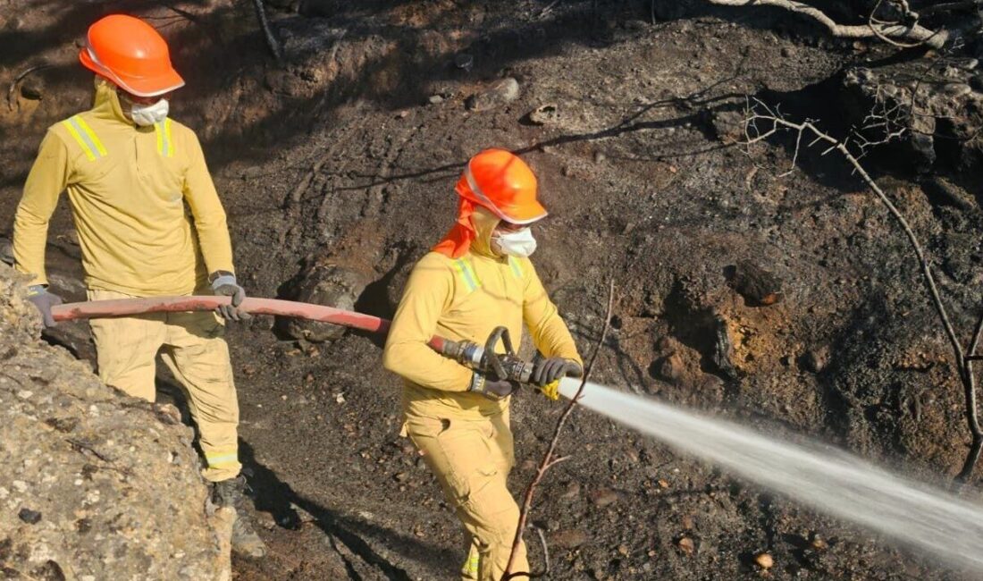 Uşak’ın Banaz ilçesinde çıkan orman yangını ekiplerin müdahalesi sonucu kontrol