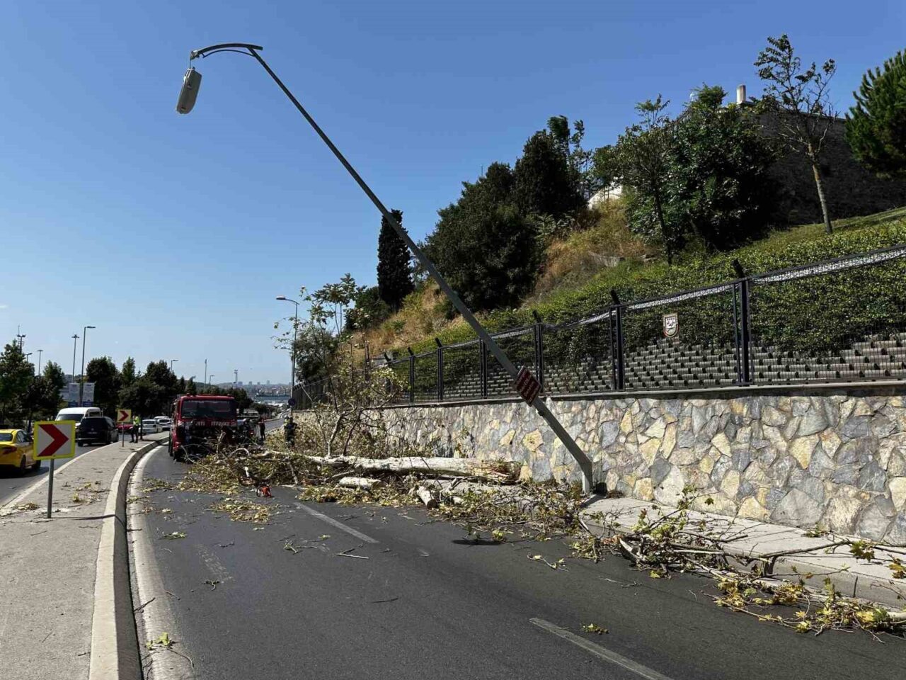 İstanbul’un Üsküdar ilçesinde, yol kenarındaki ağaç kuvvetli rüzgarın etkisiyle seyir