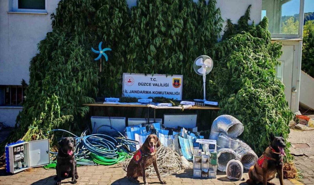 Düzce Cumhuriyet Başsavcılığı koordinesinde yürütülen çalışmalarda teknik ve fiziki takip