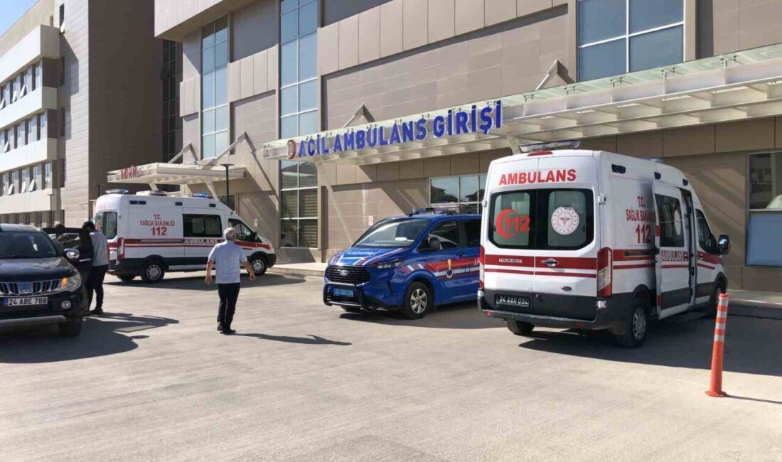 Erzincan-Çayırlı yolunda taş duvar yapımı işinde çalışan 2 işçi üzerlerine