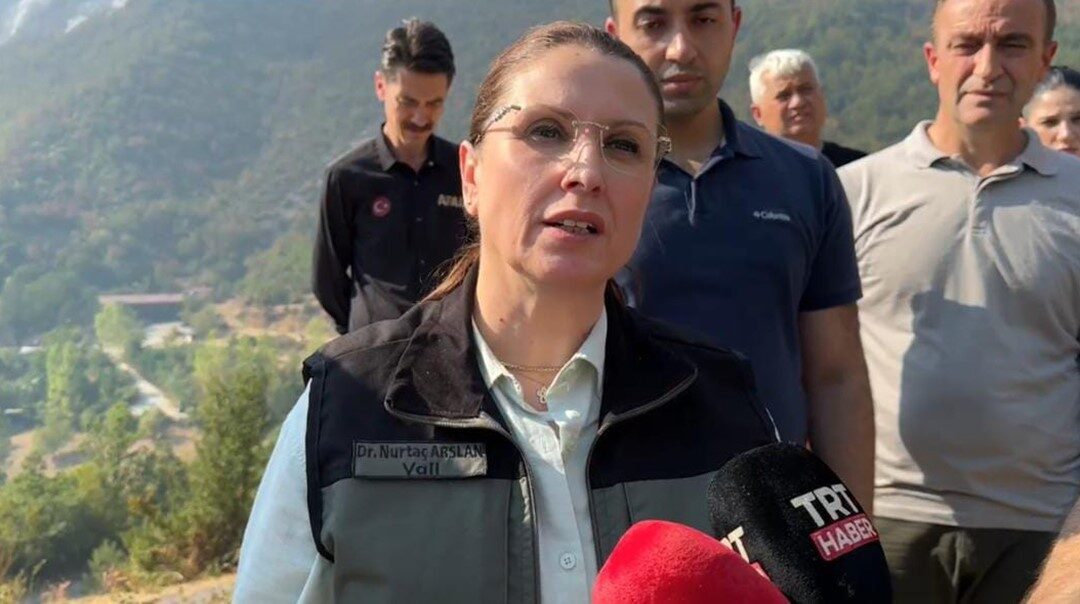 Bartın Valisi Nurtaç Arslan, Ulus ilçesinde çıkan yangının arılıktan çıktığını