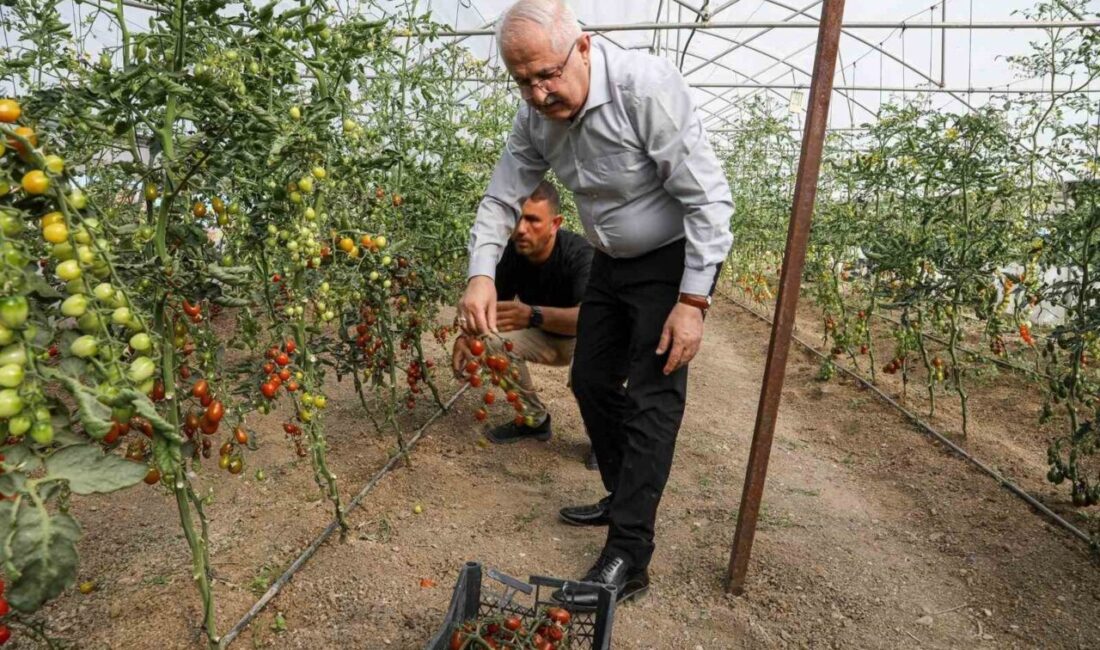 Van Büyükşehir Belediyesi, yerel ürün çeşitlerinin korunması ve yaygınlaştırılması hedefiyle
