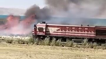 Van’ın İpekyolu ilçesi sınırlarında bulunan Erçek Gölü kıyısındaki sazlık alanda