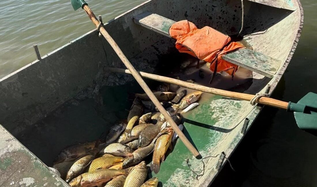 Van’ın Muradiye ilçesinde ağla kaçak balık avlayan 2 kişiye 25