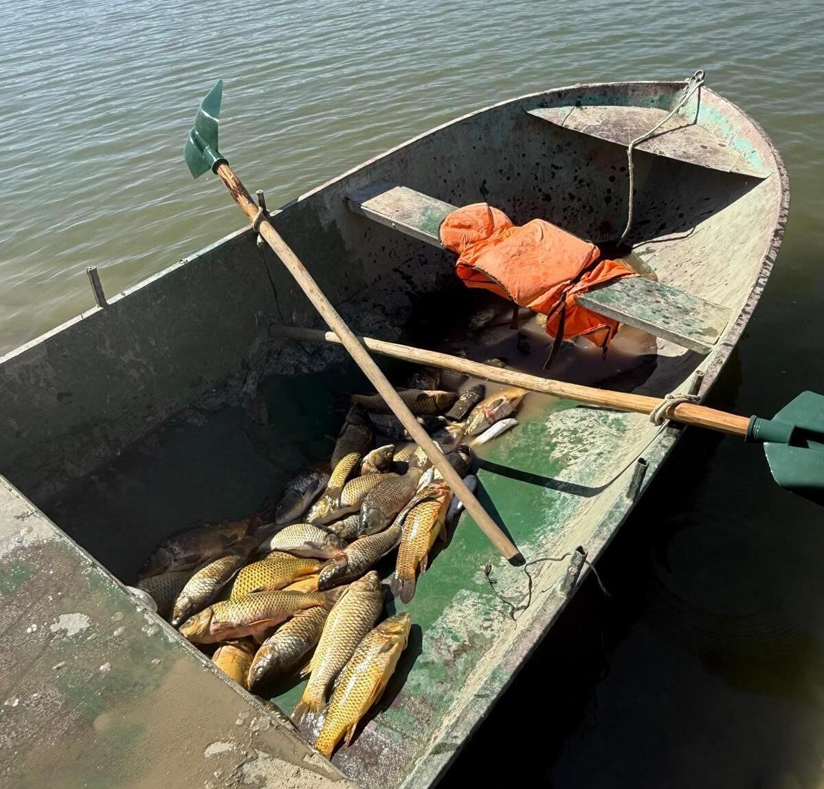 Van’ın Muradiye ilçesinde ağla kaçak balık avlayan 2 kişiye 25