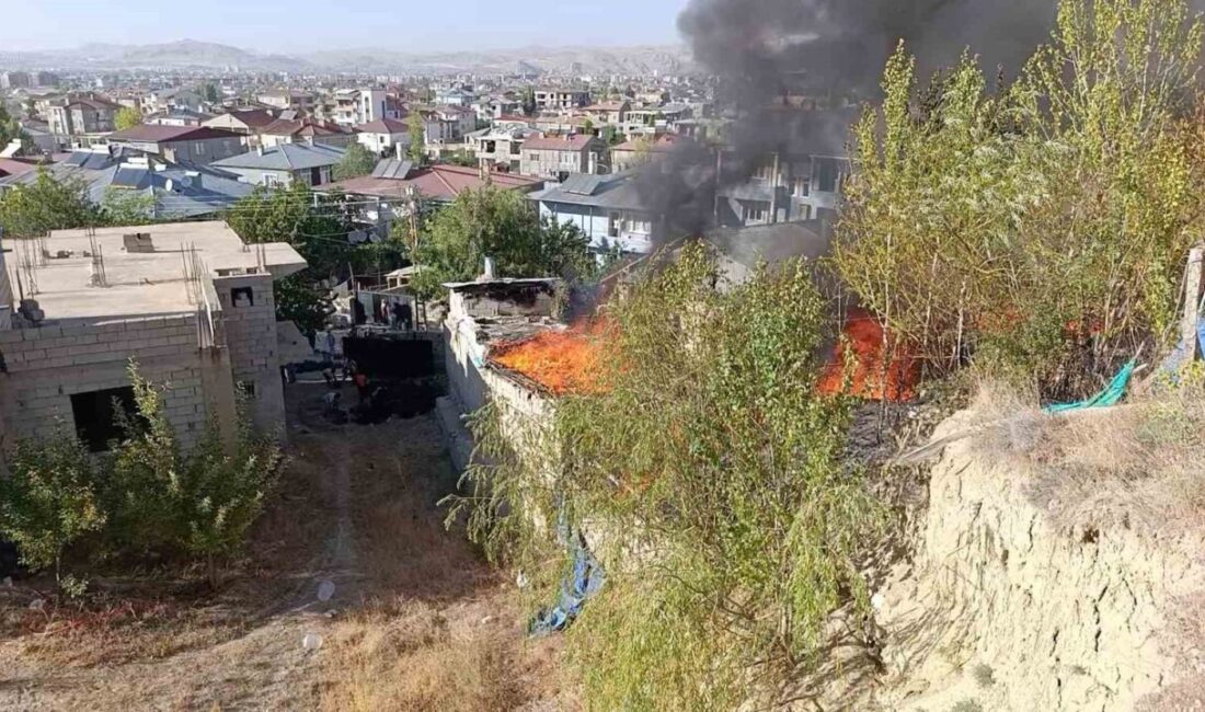 Van’ın Edremit ilçesinde bir kömürlükte çıkan yangın paniğe neden oldu.