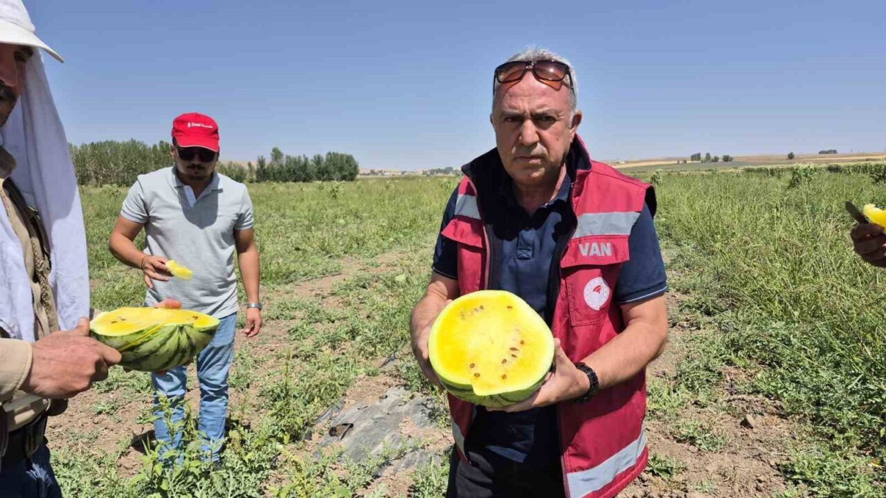 Van’ın Tuşba ilçesinde çiftçilik yapan Faysal Gül isimli üretici, İran’dan