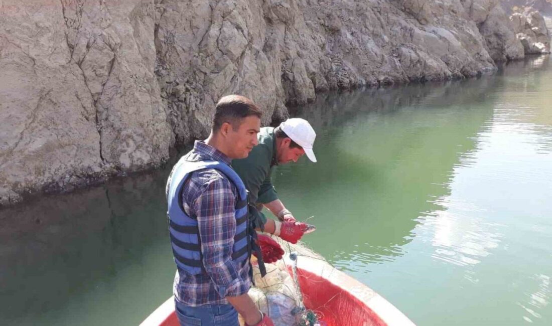 Van’da 15 Mayıs tarihi itibariyle uygulanmaya konulan sazangillerin av yasağı