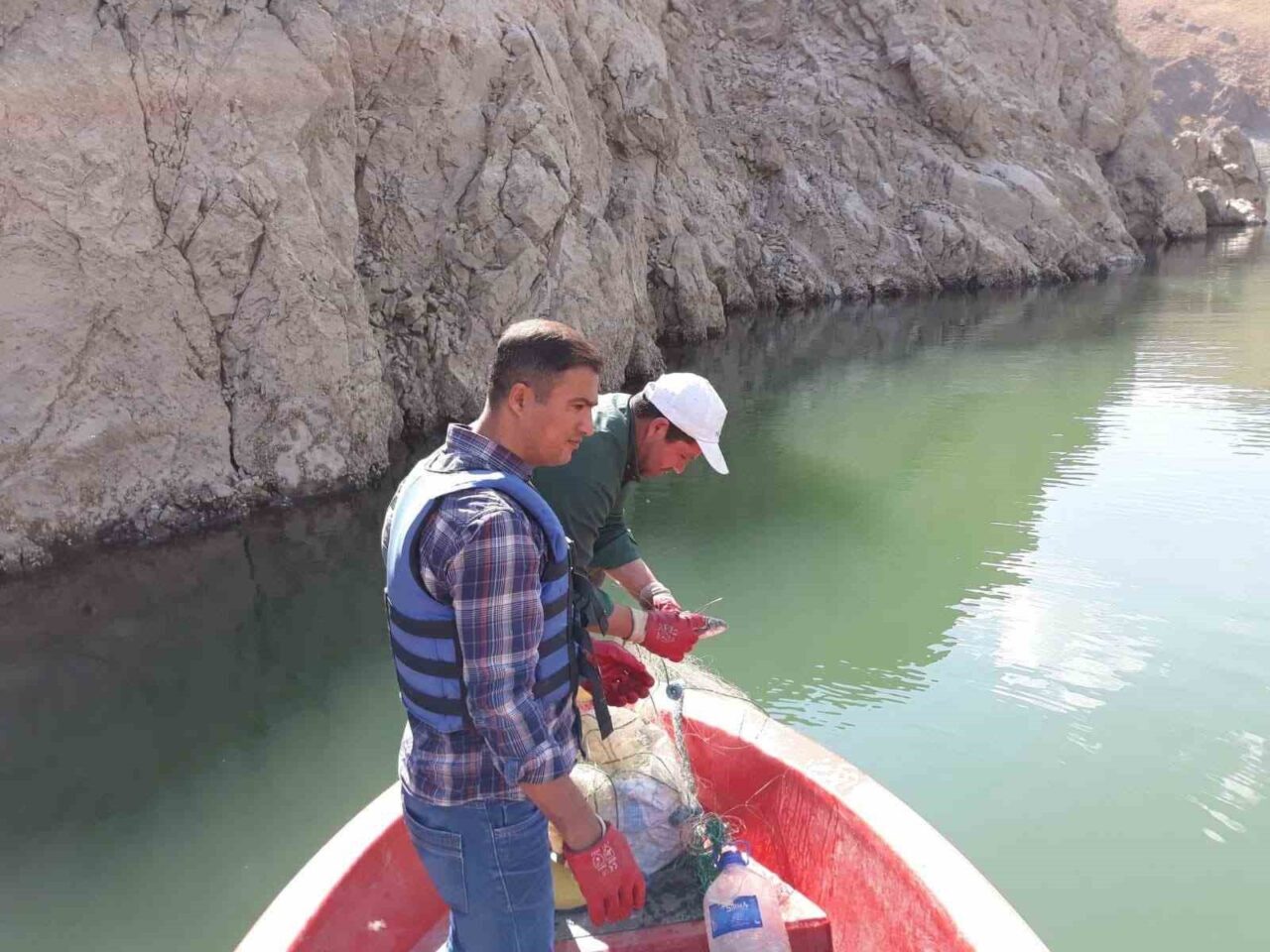 Van’da 15 Mayıs tarihi itibariyle uygulanmaya konulan sazangillerin av yasağı
