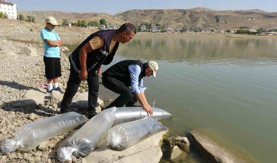 Tarım ve Orman Bakanlığı tarafından yürütülen “Su Kaynaklarının Balıklandırılması Projesi”