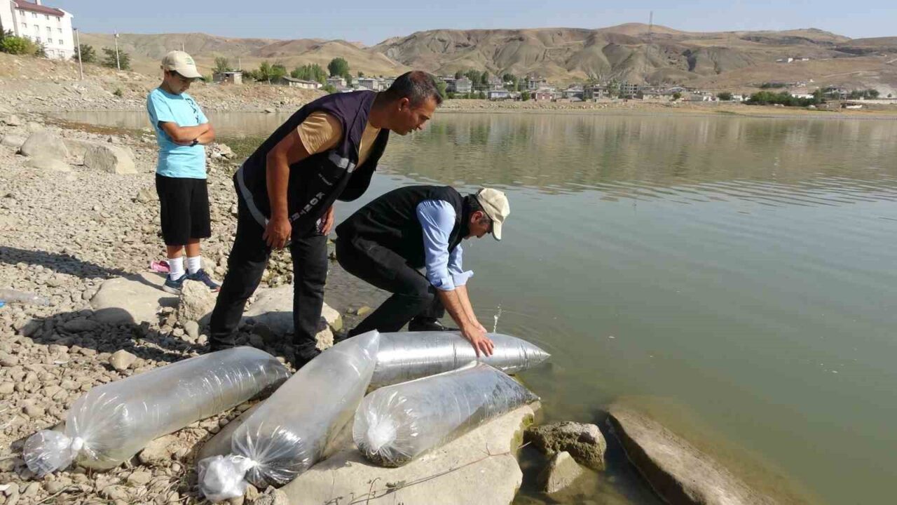 Tarım ve Orman Bakanlığı tarafından yürütülen “Su Kaynaklarının Balıklandırılması Projesi”