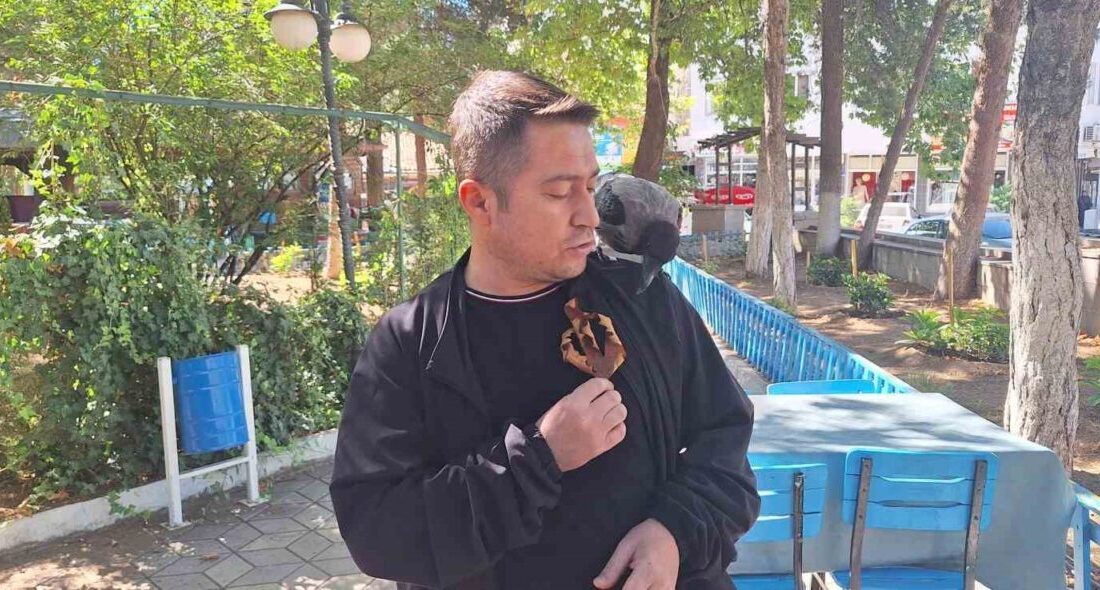 Çorum’un İskilip ilçesinde bulunan şehir parkında yuvasından düşen ve parktaki