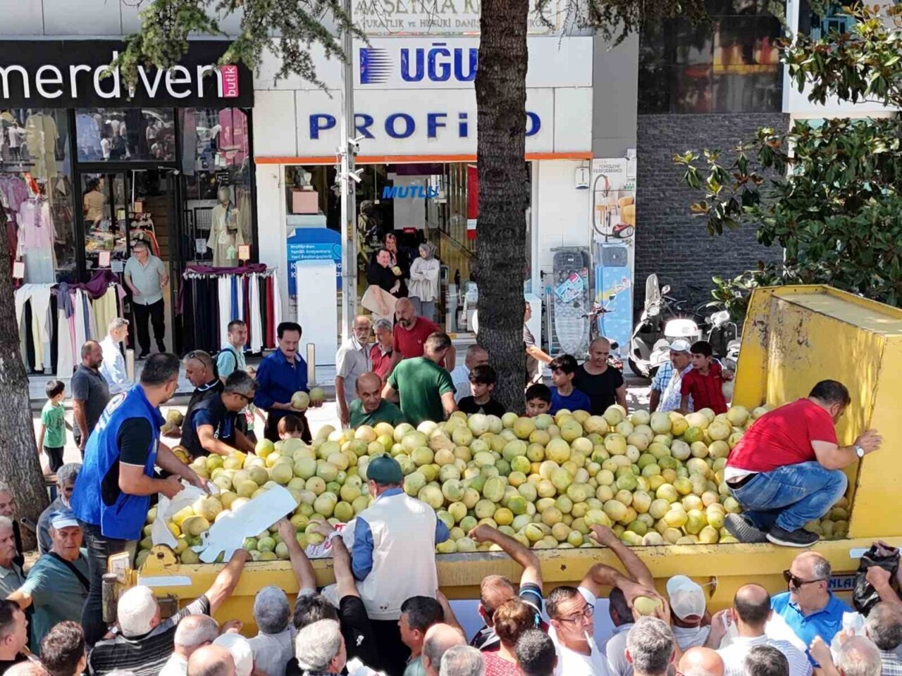 Düzce Belediyesi’nin desteğiyle yerli tohumdan üretilen 5 ton “Minika” kavunu,