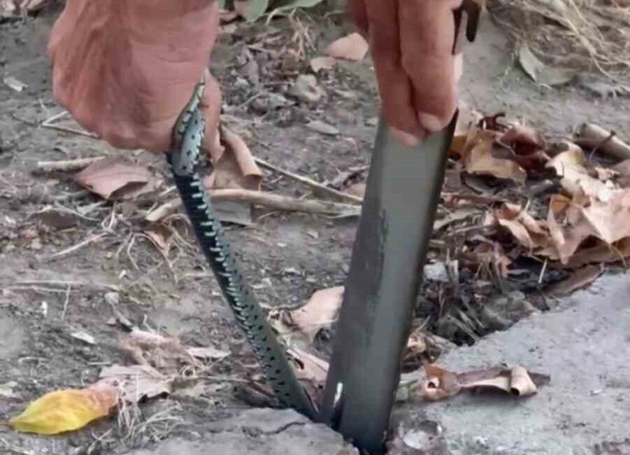 Zonguldak’ın Çaycuma ilçesine bağlı Saltıkova beldesinde kaldırım taşlarının arasında sıkışan